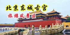 羞羞答答AV中国北京-东城古宫旅游风景区